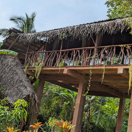 Willa Sigiriya Rock View Tree House Zewnętrze zdjęcie