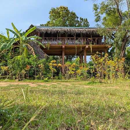 Willa Sigiriya Rock View Tree House Zewnętrze zdjęcie