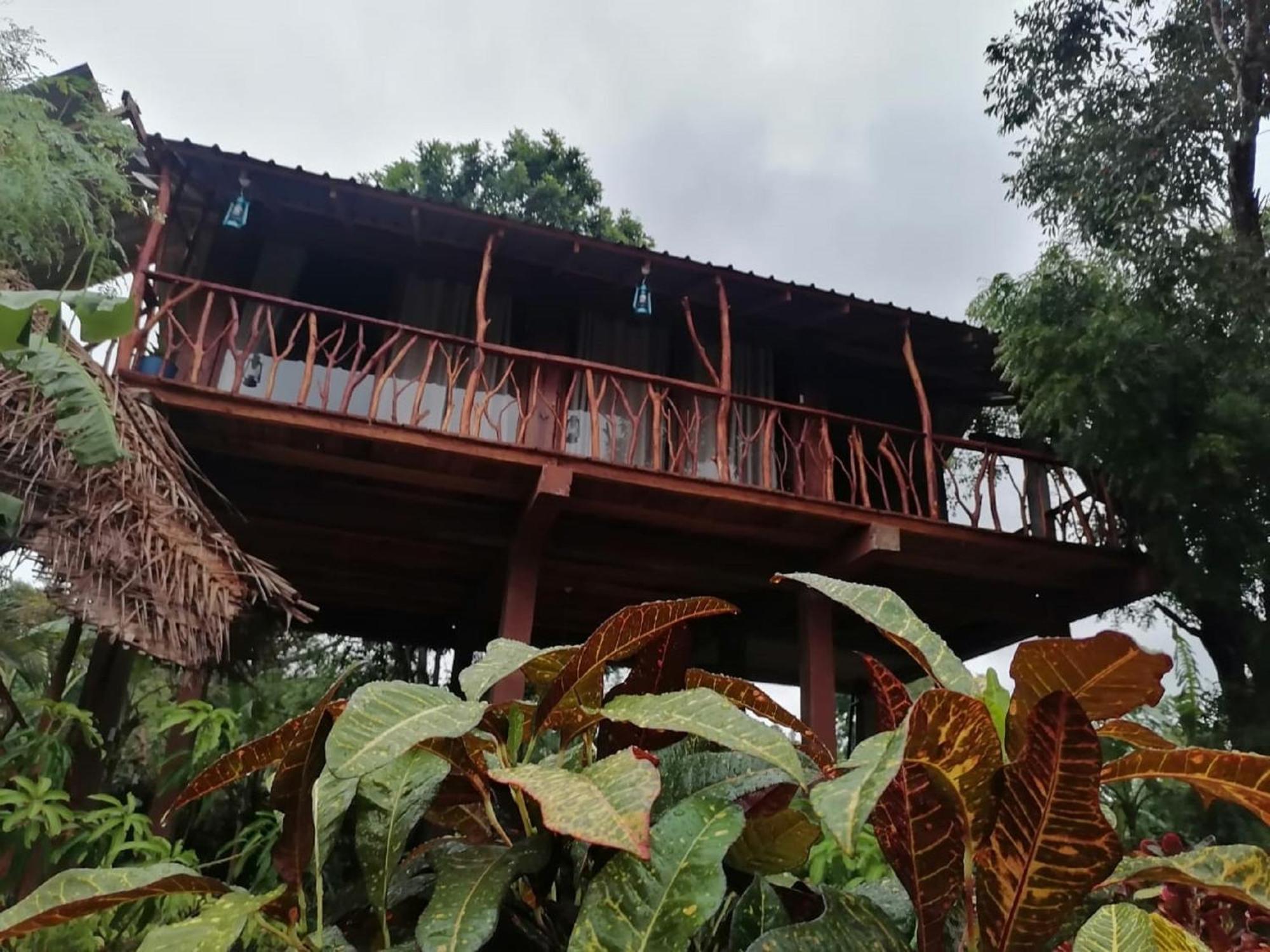 Willa Sigiriya Rock View Tree House Zewnętrze zdjęcie