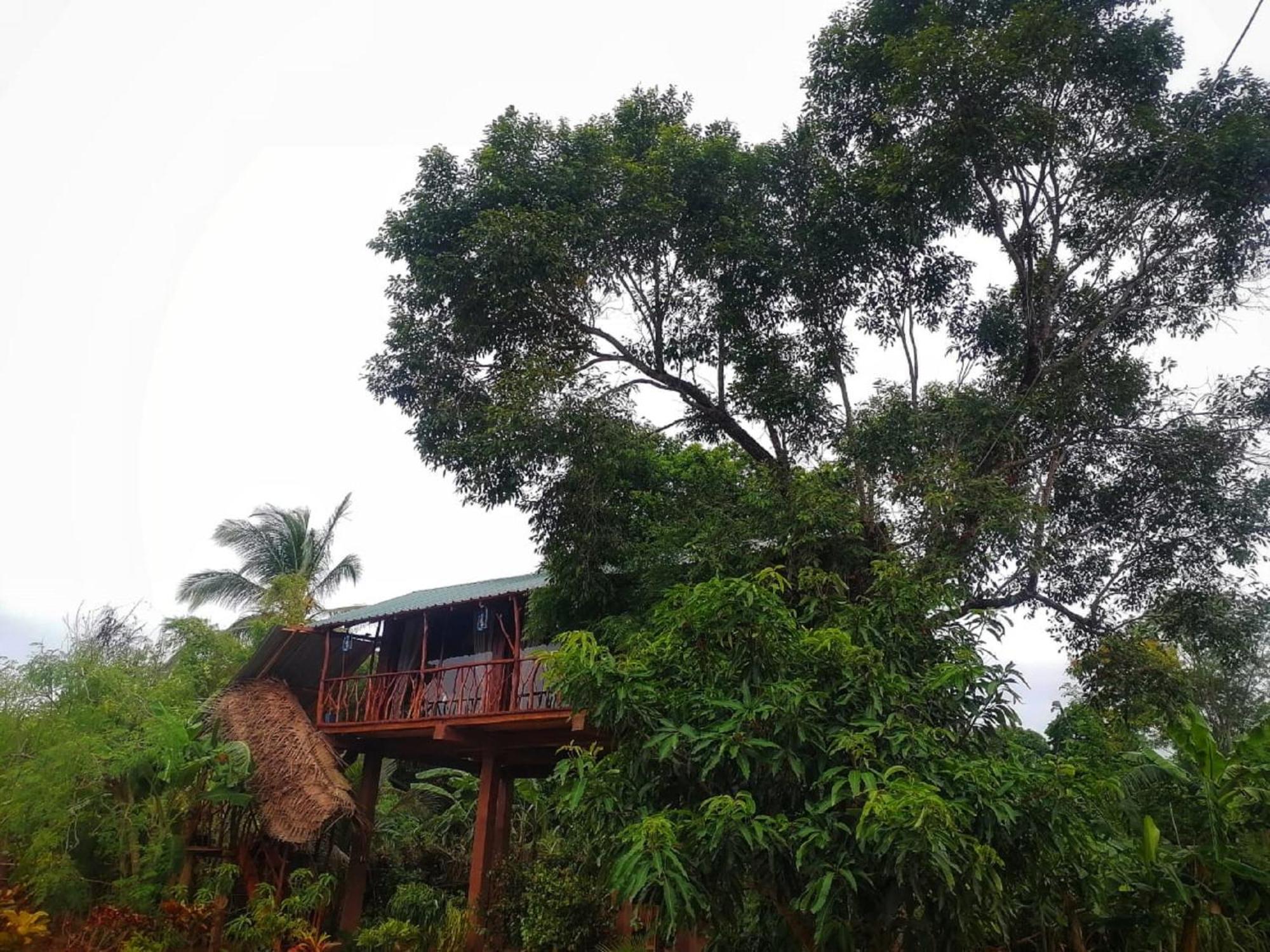 Willa Sigiriya Rock View Tree House Zewnętrze zdjęcie