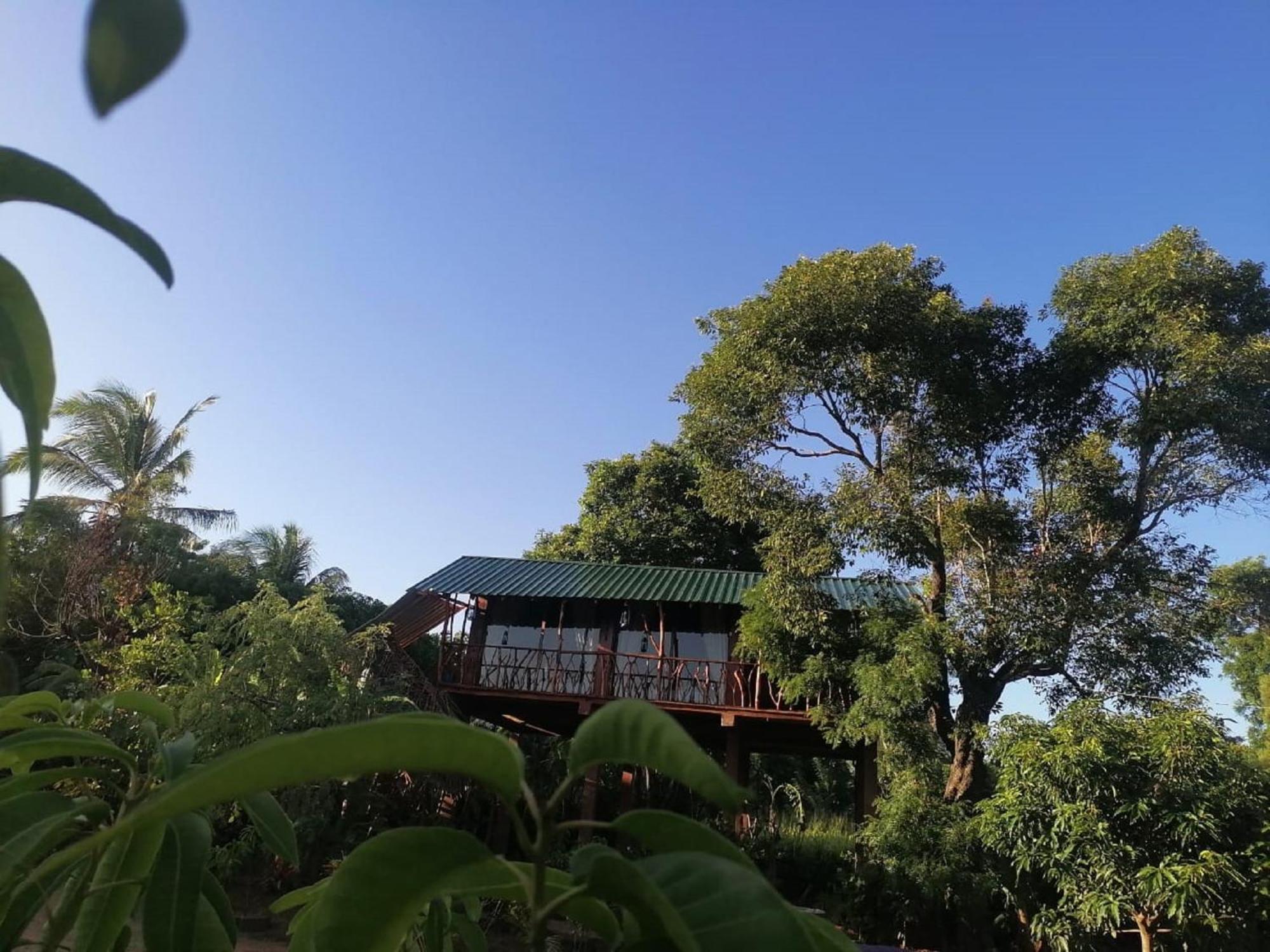 Willa Sigiriya Rock View Tree House Zewnętrze zdjęcie