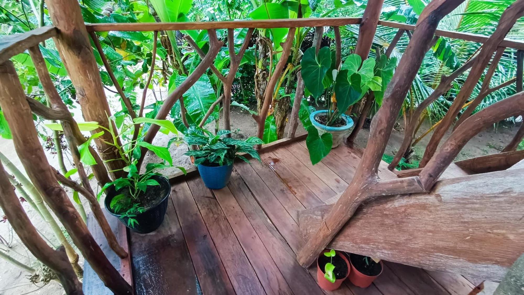 Willa Sigiriya Rock View Tree House Zewnętrze zdjęcie