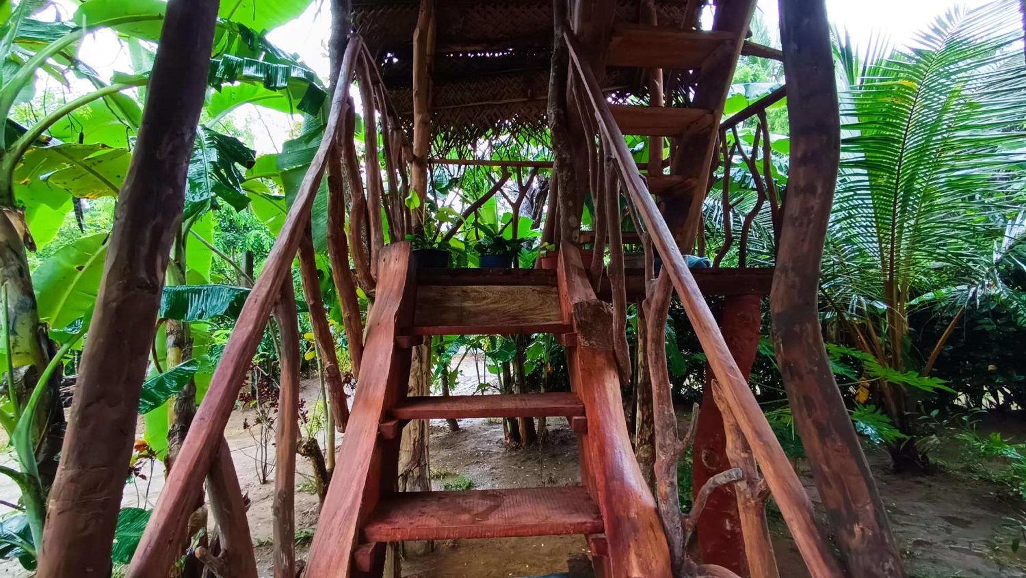 Willa Sigiriya Rock View Tree House Zewnętrze zdjęcie