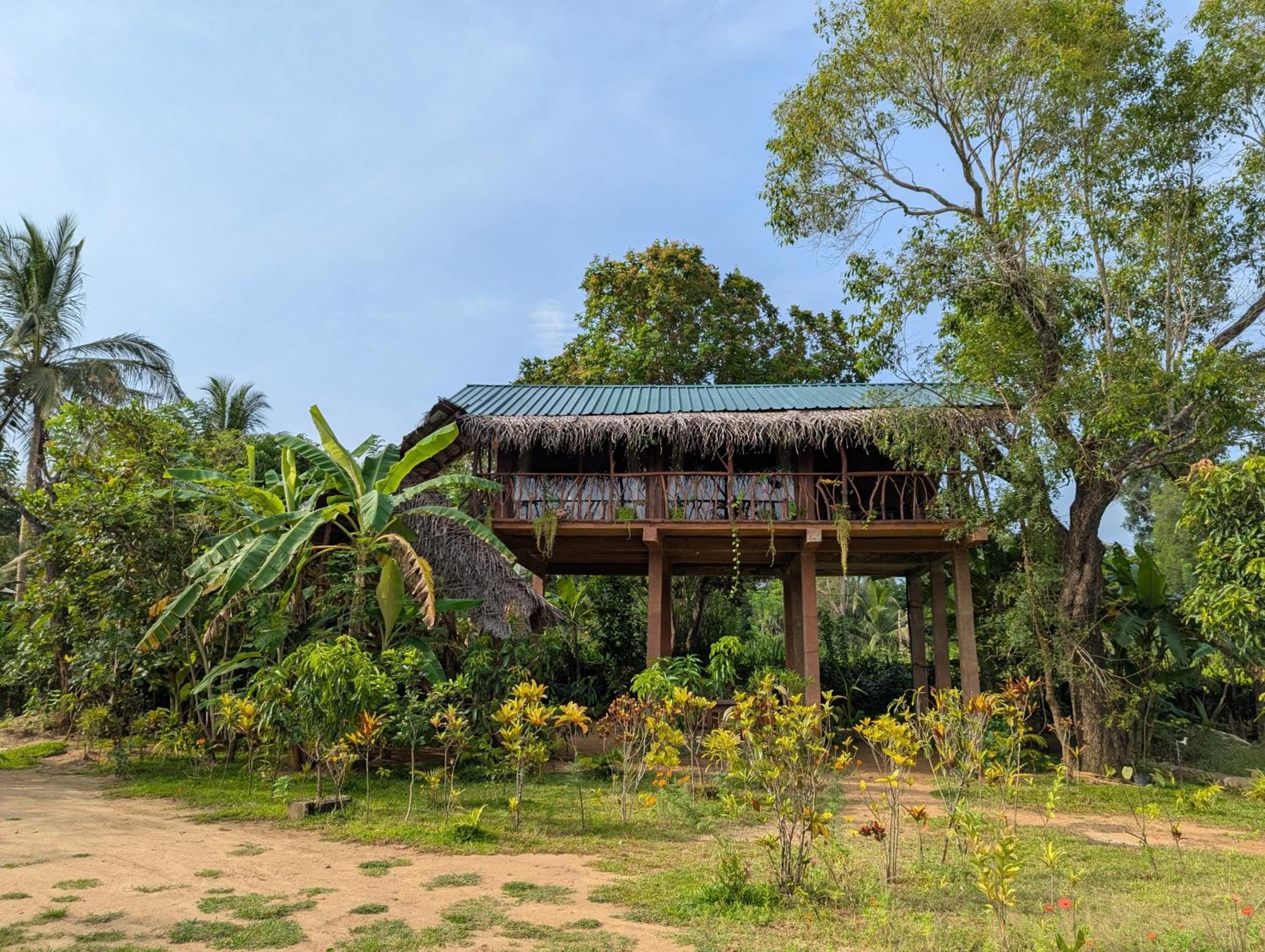 Willa Sigiriya Rock View Tree House Zewnętrze zdjęcie